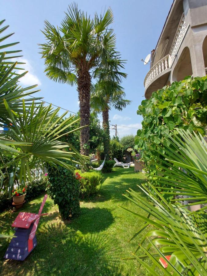 Apartman Palma Marinici  Exterior photo